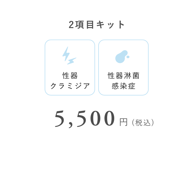 2項目キット